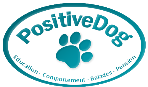 positive-dog